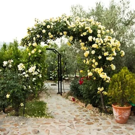 Cazorla-alcón Casa de Campo *