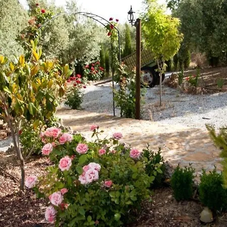 Casa de Campo Cazorla-alcón