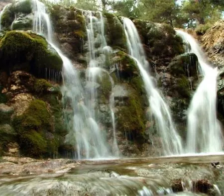Cazorla-alcón Casa de Campo *