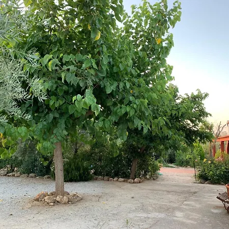 Cazorla-alcón * Pozo Alcón