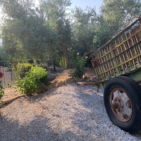 Casa de Campo Cazorla-alcón *