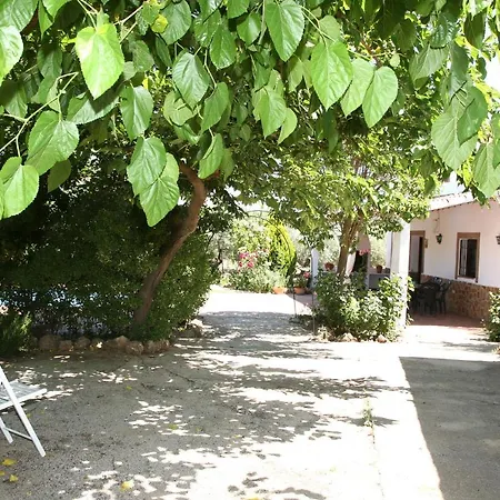 Cazorla-alcón